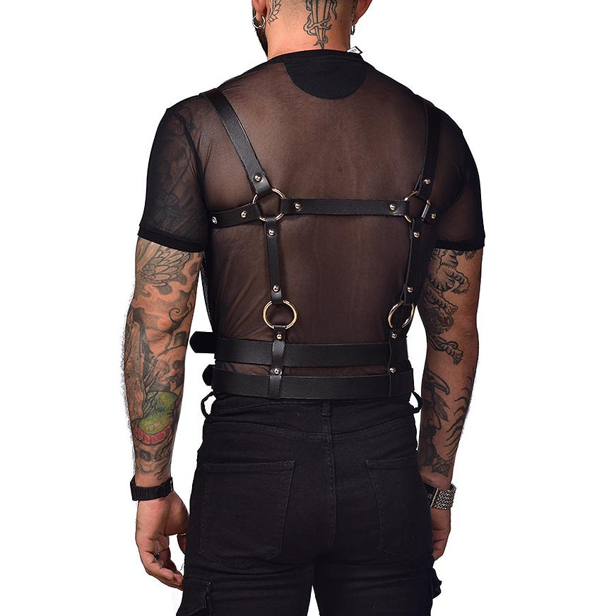 Harness torso and chest