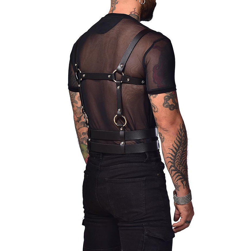 Harness torso and chest
