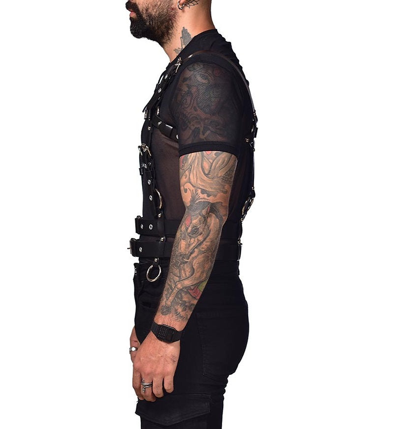 Harness torso and chest