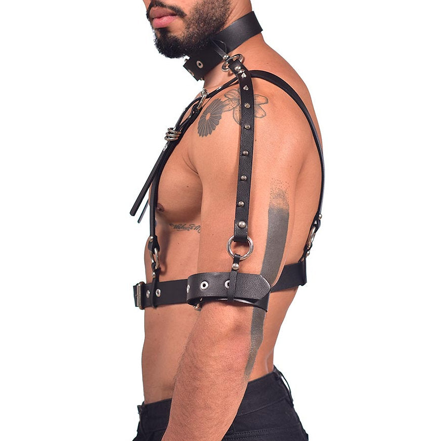 Harness full chest and sleeve