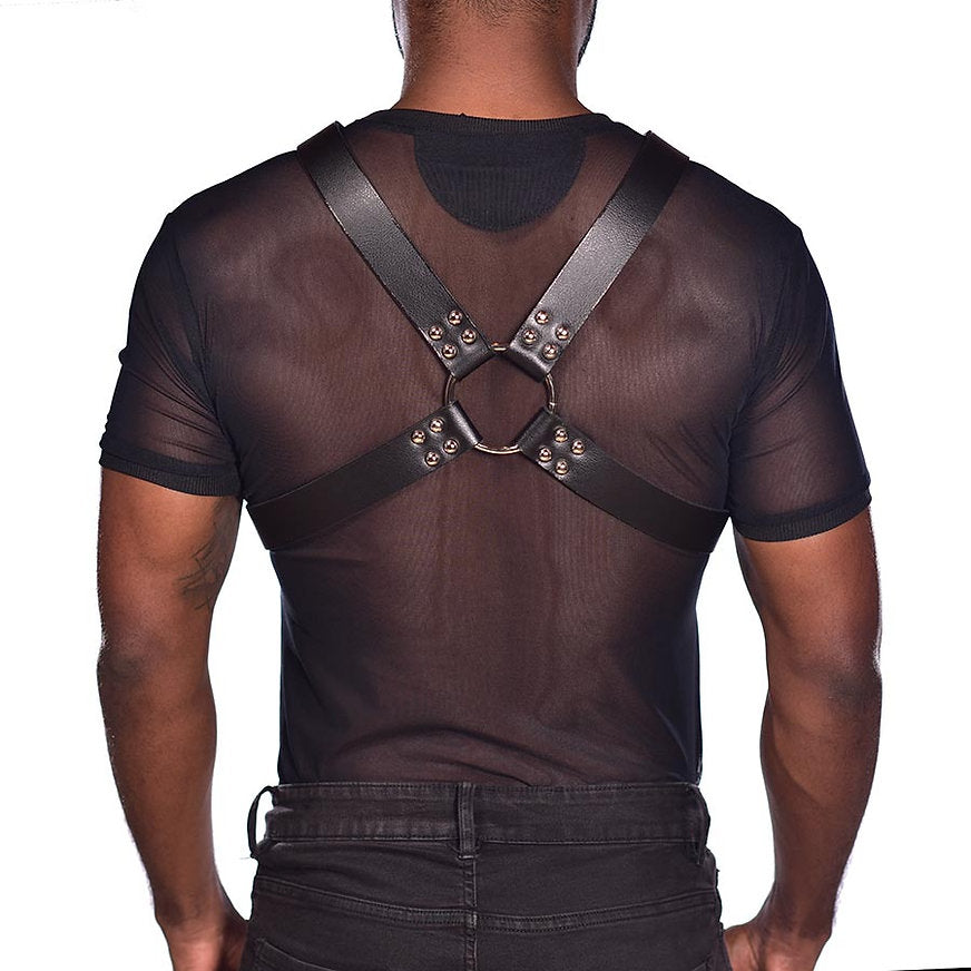 Harness spartan
