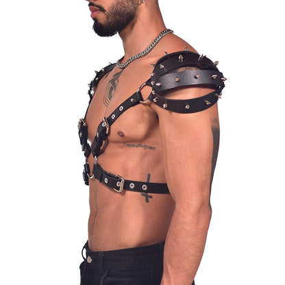 Arnes viking raven