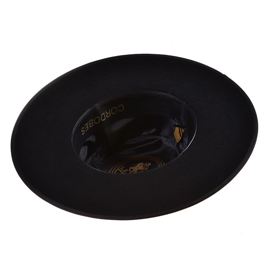 Black Cordoban hat tache dog